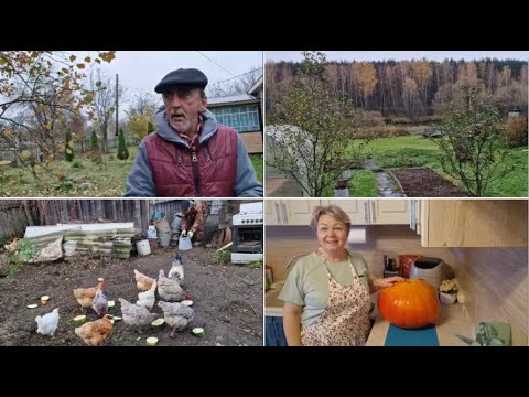 Видео: ЛЁШИК УБИРАЕТСЯ У КУРОЧЕК, А Я РАЗДЕРБАНИЛА ТЫКВУ, БУДЕТ ТЫКВЕННОЕ ВАРЕНЬЕ.