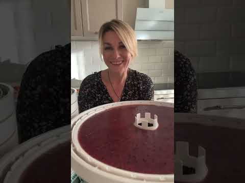 Видео: Пастила из винограда. Прямой эфир с Ксенией