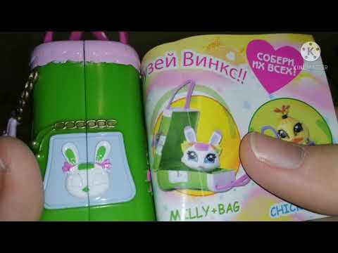 Видео: Обзор на сумочки Love&pet, тайный дневничок и альбом для фото WINX