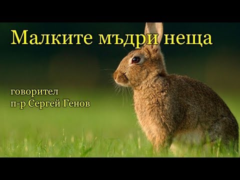 Видео: Малките мъдри неща