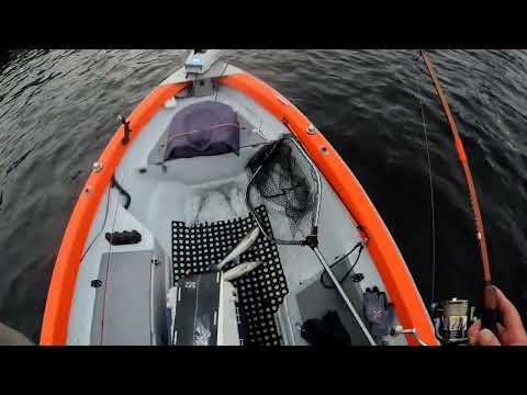 Видео: Судак, дроп шот, NARVAL Argument 2 Maxlug mini/ в деле.