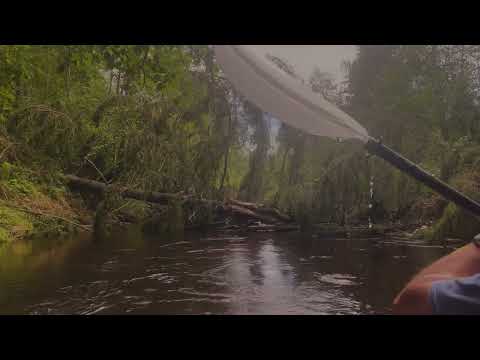 Видео: Сплав по реке Оредеж-Луга. Часть 2. 