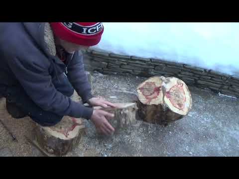 Видео: Работа с красным кленом. Часть 2. Working with red maple. Part 2.