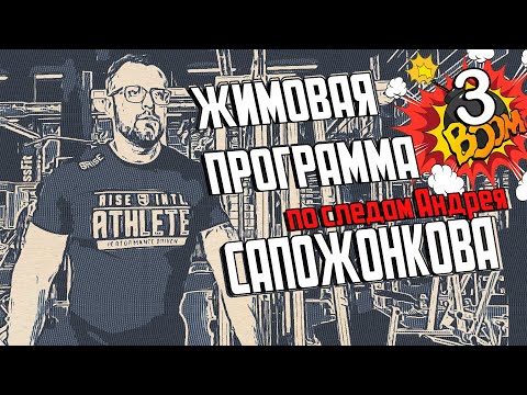 Видео: Сколько прибавил с ЖИМОВОЙ ПРОГРАММЫ САПОЖОНКОВА? Реальный результат