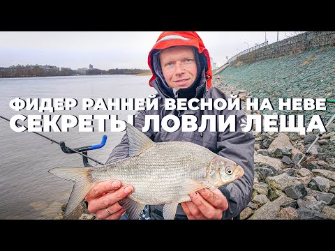 Видео: Фидер ранней весной на Неве. Секреты ловли леща