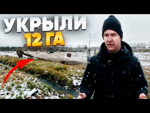 Видео: Как сохранить РАСТЕНИЯ ЗИМОЙ? Агроном ВЫЛОЖИЛ ВСЕ секреты