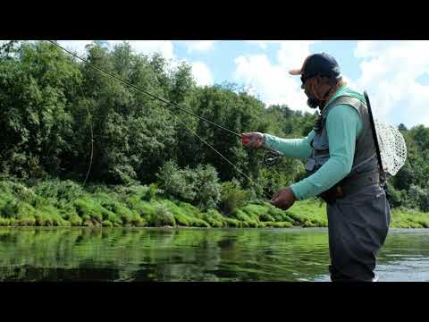 Видео: Ловля нахлыстом "на бэкинг". Голавли на жука и просто прекрасная Угра!