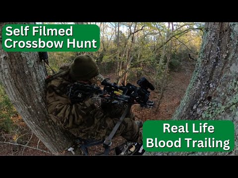 Видео: Самостоятельная охота с арбалетом — Падение лани — Отличный пример кровавого следа!