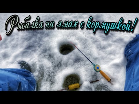 Видео: Ловим на мотыля с кормушкой!Анонс розыгрыша для подписчиков)