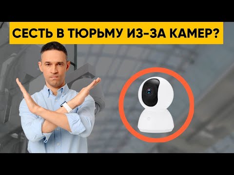 Видео: ДОМАШНИЕ КАМЕРЫ НАБЛЮДЕНИЯ | ПОМОЩНИКИ ИЛИ ВРАГИ?