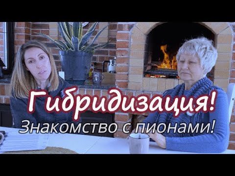 Видео: Разговор о пионах! Часть 5 / Сад Ворошиловой