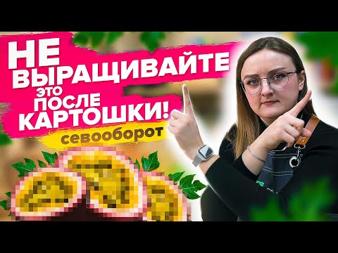 Видео: КАК СПЛАНИРОВАТЬ ПОСАДКИ? Севооборот