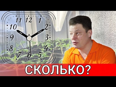 Видео: что будет если досвечивать рассаду круглосуточно, сколько на самом деле надо досвечивать рассаду