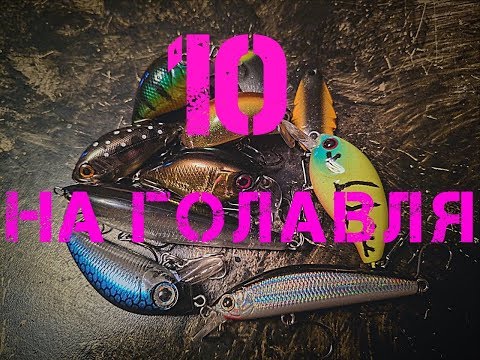 Видео: ЛУЧШИЕ ПРИМАНКИ НА ГОЛАВЛЯ 2019!