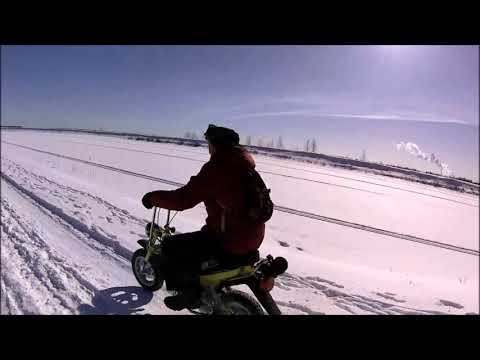 Видео: Покатушки на совкопедах по снегу