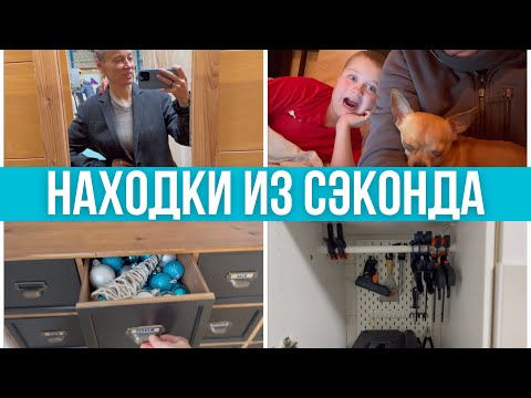 Видео: Тревожный рюкзачок. Спилила дерево второй раз. Покупки из сэконда. Уборка #pixelsoflife
