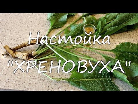 Видео: Настойка "Хреновуха".