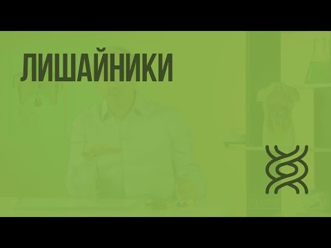 Видео: Лишайники. Видеоурок по биологии 5 класс