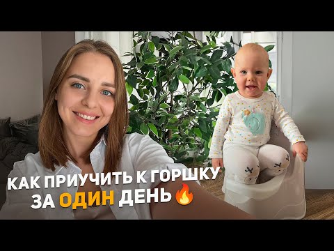 Видео: Как приучить к горшку за ОДИН день🔥
