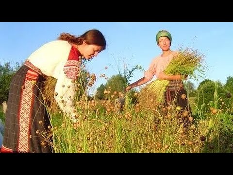 Видео: 27 октября. День Параскевы. Народный календарь для малышей.🔥