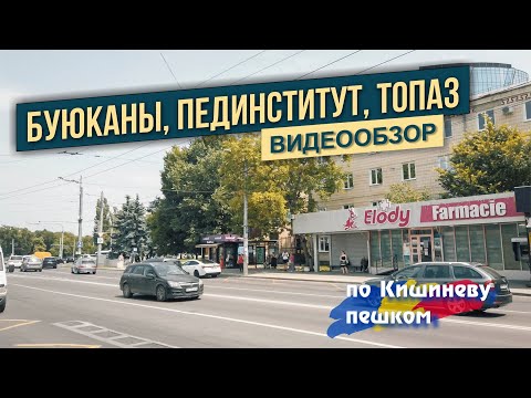 Видео: Кишинев 21.07.25 Буюканы, Скулянка, Пединститут им. И. Крянгэ, лимоны на тротуаре.