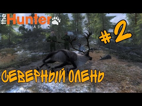 Видео: The Hunter classic. ОХОТА НА СВЕВЕРГОГО ОЛЕНЯ!!!