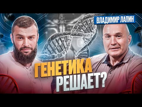 Видео: Как растут мышцы, виды нагрузки, психотипы в спорте - Владимир Лапин