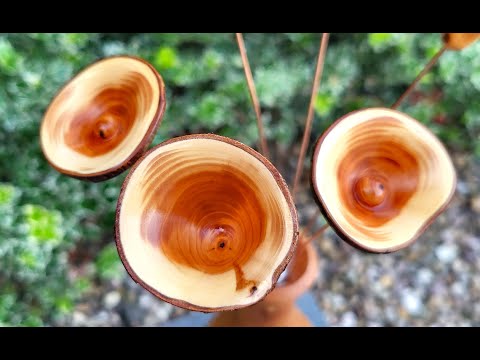 Видео: Цветы, вырезанные из ирландского тиса. #деревообработка #проектдляначинающих #turnaflower #цветок