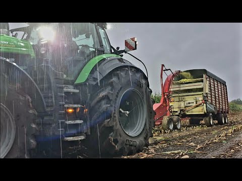 Видео: Огромные трудности при заготовке первого кукурузного силоса 2025 года!!!