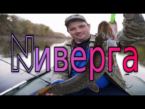 Видео: ✔✔✔"Супруга поверхности" !Рыбалка в заповеднике Протока Ниверга, левый рукав р.Ока.