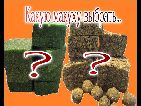 Видео: Тесто для макухи на основе гороха и манки на карпа карася