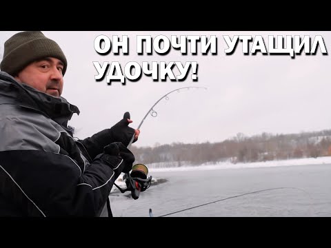 Видео: ОГРОМНЫЕ РЫБИНЫ РЕКИ МОСКВА! Фидер в дугу! Лучшая рыбалка в этом году!