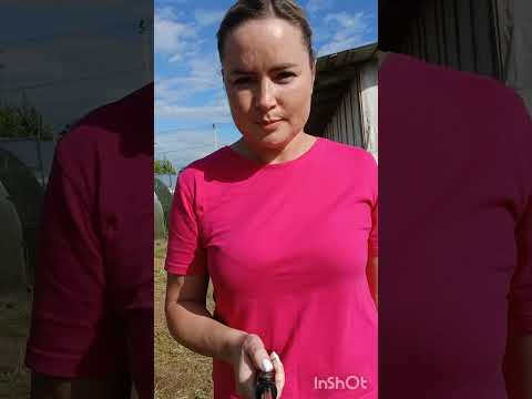 Видео: 1 августа 2024 г.