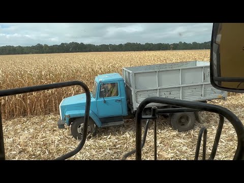 Видео: До кінця🙏Він теж любив КУКУРУДЗУ 😢