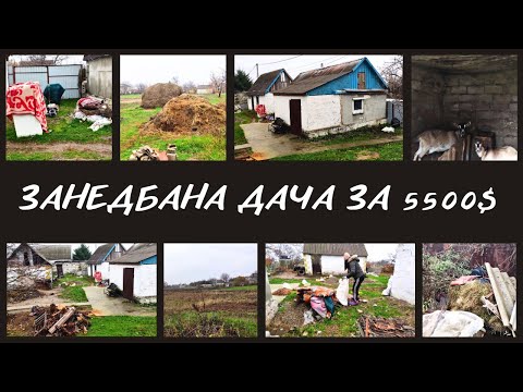 Видео: 🏡Придбали дачу за 5500$ | Огляд будинку та ділянки 25 соток | Перше прибирання подвір'я