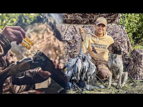 Видео: Охота на вяхиря с собакой | Прекрасная утрянка!