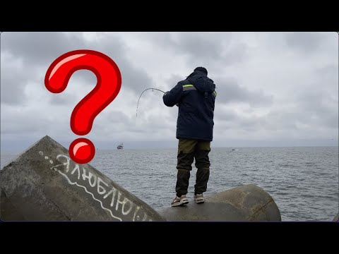 Видео: Рыбалка на салаку, Балтийское море