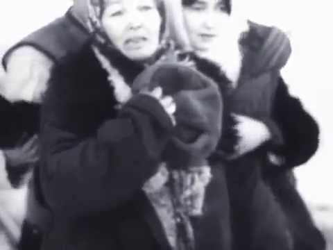 Видео: Материнское поле