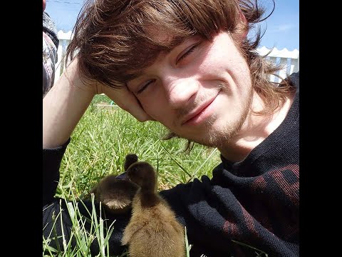 Видео: Иркутск хотод учир битүүлгээр амь насаа алдсан АНУ-ын иргэн Colin Madsen-ий хэрэг