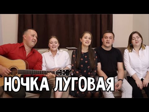 Видео: Ночка луговая - ансамбль ПТАШИЦА