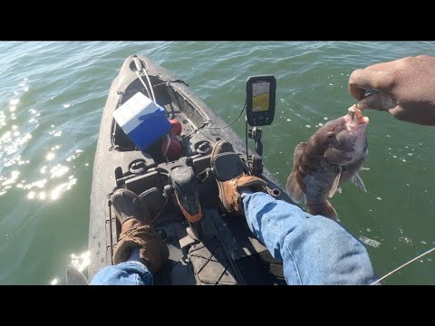 Видео: Ловля рыбы с берега на чёрного окуня (таутог) + Советы по безопасности