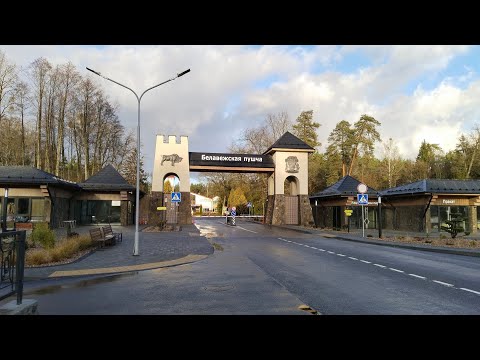 Видео: Брест | Беловежская пуща