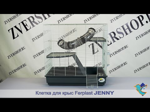 Видео: Клетка Jenny для крыс Ferplast