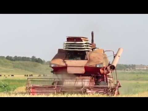 Видео: Колос Ск-6 в поле , уборочная 2018. Kolos SK-6 in the field, the harvest of 2018.