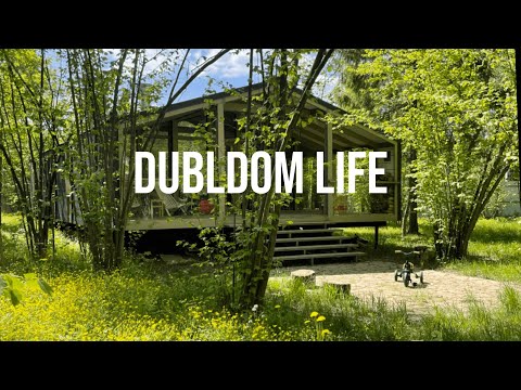 Видео: сняли ДубльДом в лесу на лето 🌿 || спокойные будни на новом месте