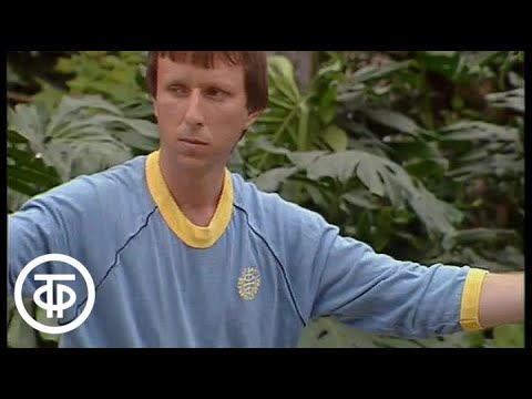 Видео: Спорт для всех. Николай Балашов выполняет упрощенный комплекс тайцзицюань "24 формы" (1991)