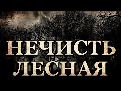 Видео: Нечисть Лесная. Страшные истории про Лес (4в1)