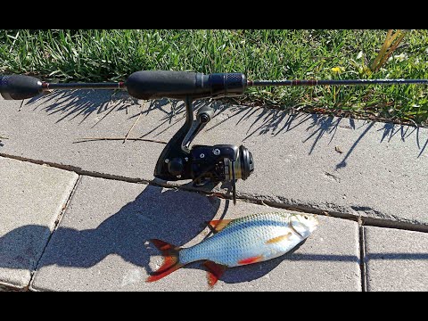 Видео: Городской мормышинг ЮБутовское разнорыбье