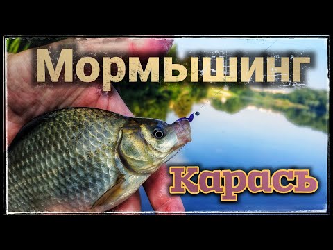Видео: Мормышинг ! Карась ! Подмосковный пруд