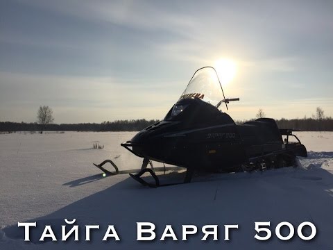 Видео: Тест-Драйв Снегохода Тайга Варяг 500 2015